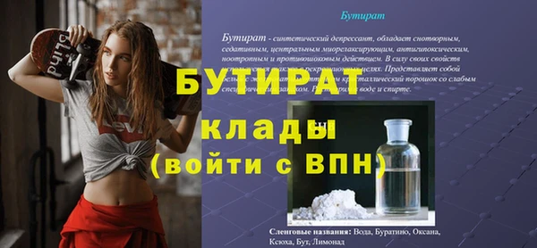 прущие грибы Тайга