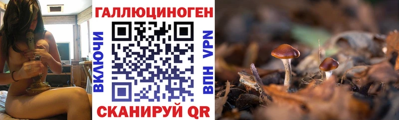 Псилоцибиновые грибы GOLDEN TEACHER Бородино