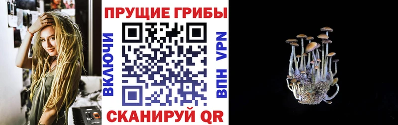 что такое   Бородино  Галлюциногенные грибы мухоморы 